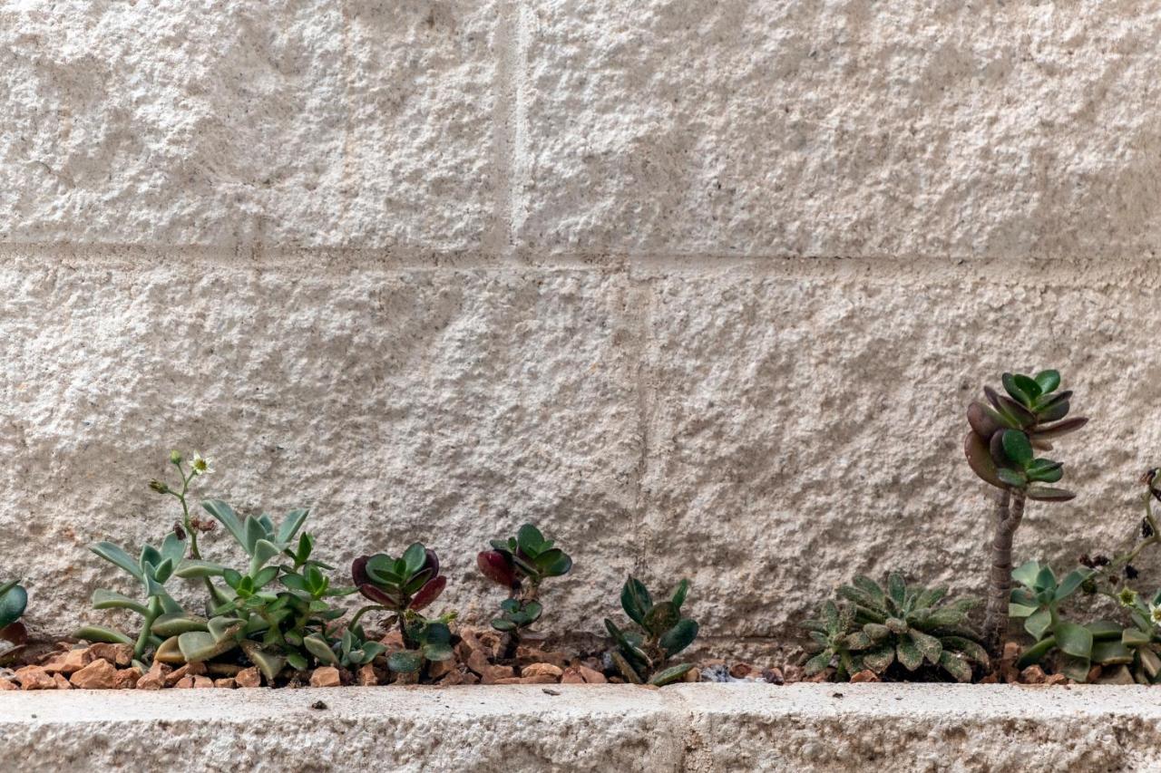 In Centro Da Viola - Eco Design Rooms Olbia Exterior photo